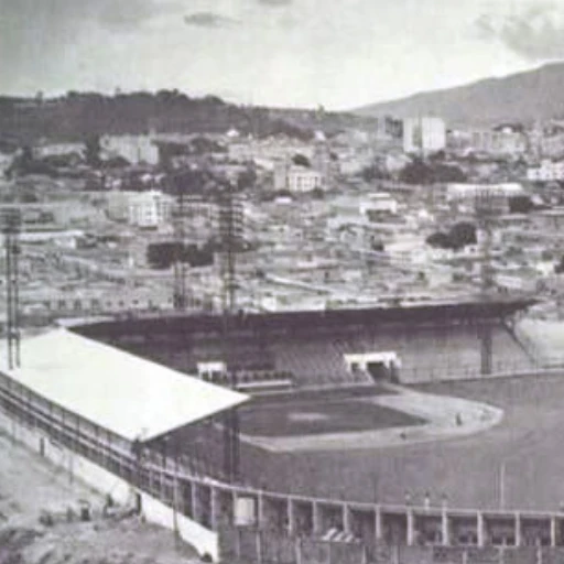 80 AÑOS DE BEISBOL PROFESIONAL VENEZOLANO